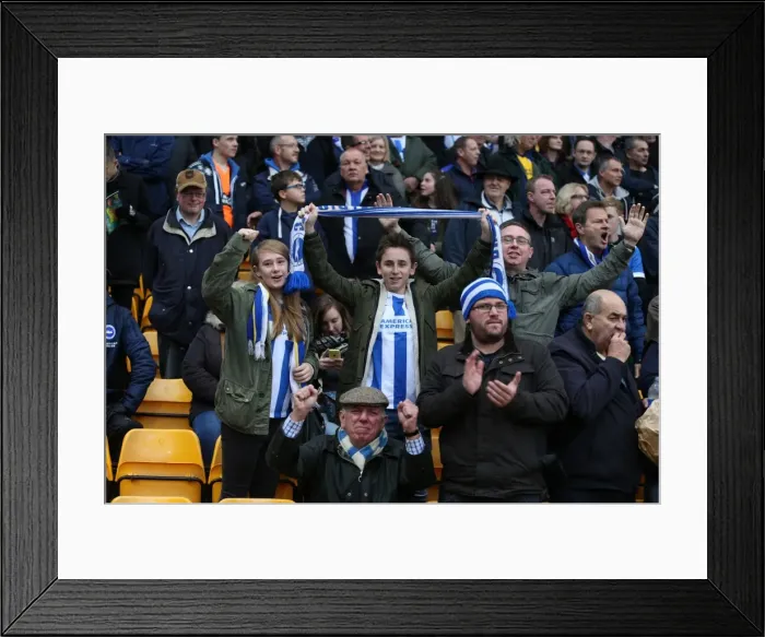 Framed Print : Brighton and Hove Albion Fans in Full Force: Sky Bet Championship Showdown at Norwich City, 22 November 2014 Framed Print : Brighton and Hove Albion Fans in Full Force: Sky Bet Championship Showdown at Norwich City, 22 November 2014