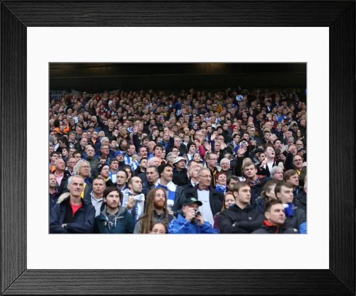 Framed Print : Brighton & Hove Albion Fans Intense Rivalry: Norwich City Showdown (22NOV14) Framed Print : Brighton & Hove Albion Fans Intense Rivalry: Norwich City Showdown (22NOV14)