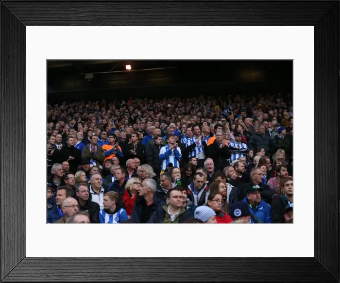 Framed Print : Brighton and Hove Albion Fans in Full Force at Norwich City Championship Match, November 2014 Framed Print : Brighton and Hove Albion Fans in Full Force at Norwich City Championship Match, November 2014