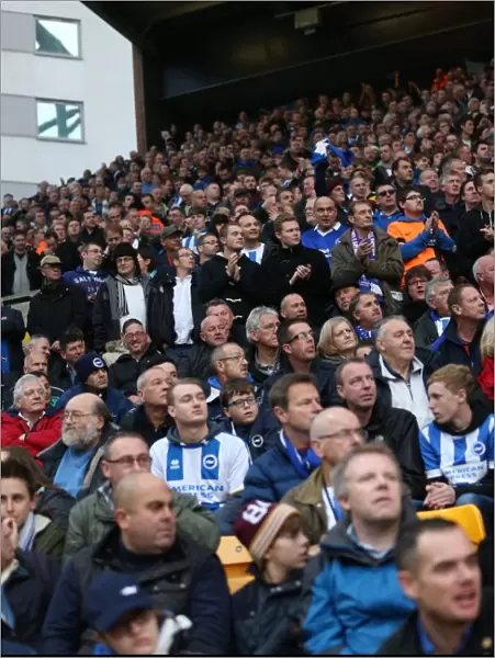 Brighton and Hove Albion Fans in Full Force at Norwich City Championship Match, 22nd November 2014