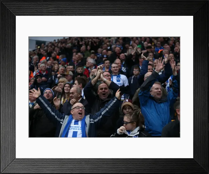 Framed Print : Brighton and Hove Albion Fans in Full Force at Norwich City's Carrow Road (Sky Bet Championship Match, 22 November 2014) Framed Print : Brighton and Hove Albion Fans in Full Force at Norwich City's Carrow Road (Sky Bet Championship Match, 22 November 2014)