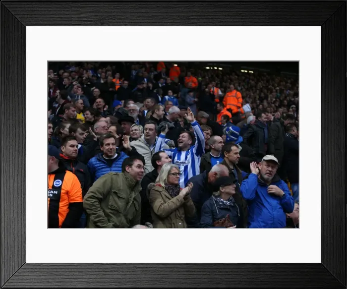 Framed Print : Brighton and Hove Albion Fans in Full Force at Norwich City's Carrow Road (22NOV14) Framed Print : Brighton and Hove Albion Fans in Full Force at Norwich City's Carrow Road (22NOV14)