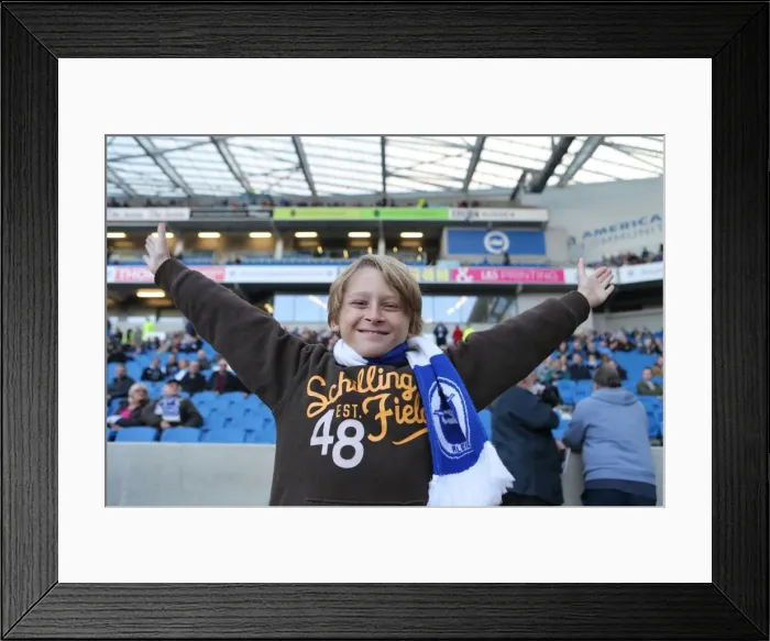 Framed Print : Passionate Albion Fans at American Express Community Stadium: Brighton vs Fulham (29NOV14) Framed Print : Passionate Albion Fans at American Express Community Stadium: Brighton vs Fulham (29NOV14)