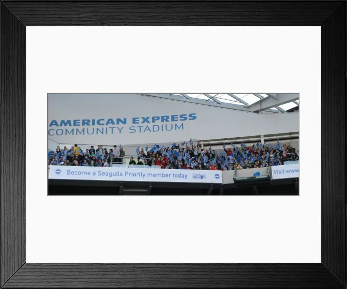 Framed Print : Brighton and Hove Albion Fans Celebrate Amidst the Shelves: Fulham vs. Brighton, American Express Community Stadium (29NOV14) Framed Print : Brighton and Hove Albion Fans Celebrate Amidst the Shelves: Fulham vs. Brighton, American Express Community Stadium (29NOV14)