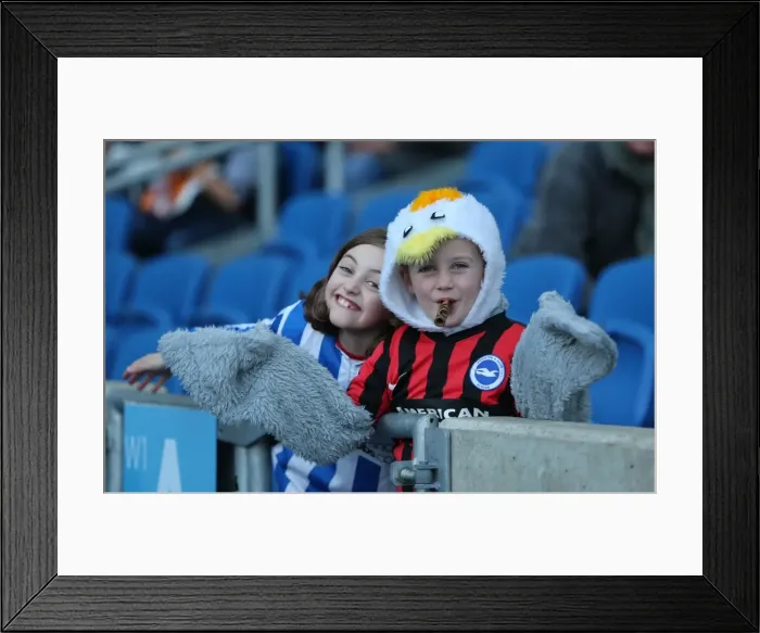 Framed Print : Brighton and Hove Albion vs Fulham: Passionate Fan Moment at American Express Community Stadium (29NOV14) Framed Print : Brighton and Hove Albion vs Fulham: Passionate Fan Moment at American Express Community Stadium (29NOV14)