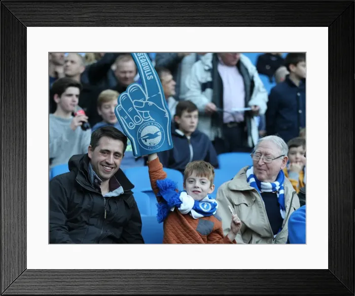 Framed Print : Passionate Clash: Brighton & Hove Albion vs. Fulham (29NOV14) - American Express Community Stadium Framed Print : Passionate Clash: Brighton & Hove Albion vs. Fulham (29NOV14) - American Express Community Stadium