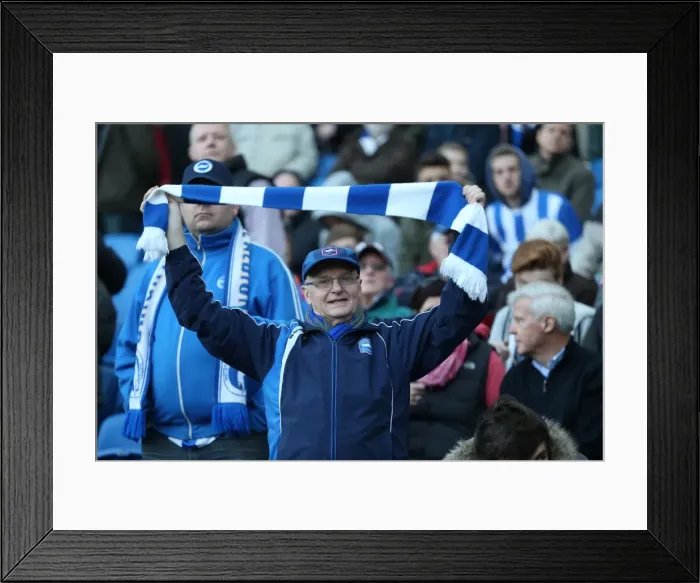 Framed Print : Passionate Championship Showdown: Brighton & Hove Albion vs. Fulham (29NOV14) Framed Print : Passionate Championship Showdown: Brighton & Hove Albion vs. Fulham (29NOV14)