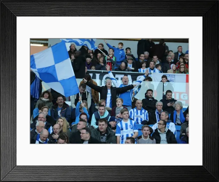 Framed Print : Passionate Clash: Brighton & Hove Albion vs. Fulham (29NOV14) - American Express Community Stadium Framed Print : Passionate Clash: Brighton & Hove Albion vs. Fulham (29NOV14) - American Express Community Stadium