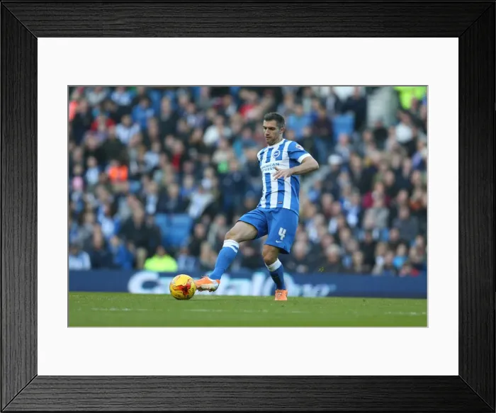 Framed Print : Aaron Hughes in Action: Brighton & Hove Albion vs Fulham (Sky Bet Championship, 29 Nov 2014) Framed Print : Aaron Hughes in Action: Brighton & Hove Albion vs Fulham (Sky Bet Championship, 29 Nov 2014)