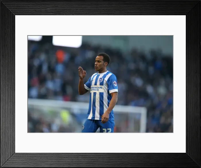 Framed Print : Elliott Bennett in Action: Brighton & Hove Albion vs Fulham (29NOV14) Framed Print : Elliott Bennett in Action: Brighton & Hove Albion vs Fulham (29NOV14)