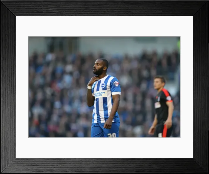 Framed Print : Darren Bent Scores: Brighton & Hove Albion vs Fulham Championship Clash (29NOV14) Framed Print : Darren Bent Scores: Brighton & Hove Albion vs Fulham Championship Clash (29NOV14)