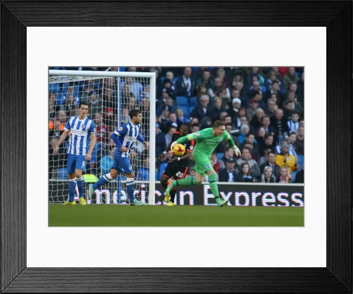 Framed Print : David Stockdale in Action: Brighton & Hove Albion vs Fulham (29NOV14) Framed Print : David Stockdale in Action: Brighton & Hove Albion vs Fulham (29NOV14)