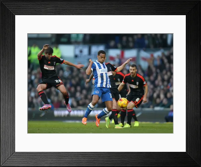 Framed Print : Elliott Bennett in Action: Brighton & Hove Albion vs. Fulham (29NOV14) Framed Print : Elliott Bennett in Action: Brighton & Hove Albion vs. Fulham (29NOV14)