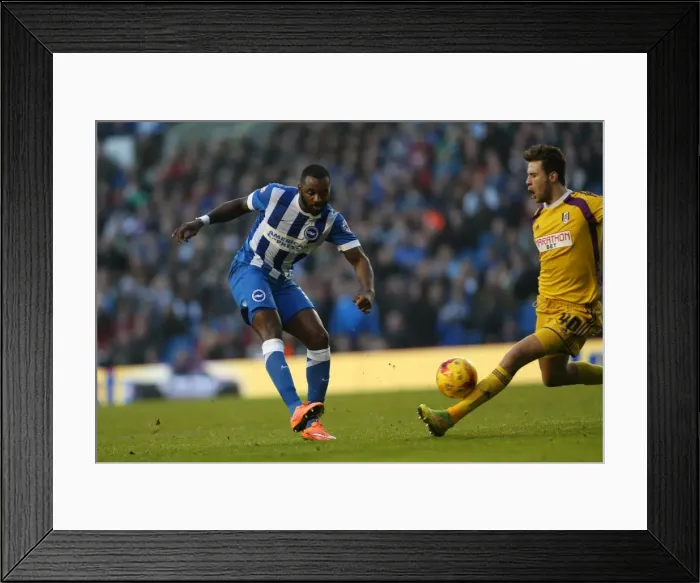 Framed Print : Darren Bent Scores Against Brighton & Hove Albion for Fulham at American Express Community Stadium (29NOV14) Framed Print : Darren Bent Scores Against Brighton & Hove Albion for Fulham at American Express Community Stadium (29NOV14)