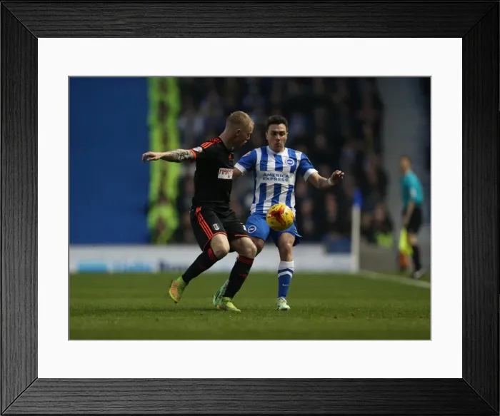 Framed Print : Colunga in Action: Brighton & Hove Albion vs Fulham (29NOV14) Framed Print : Colunga in Action: Brighton & Hove Albion vs Fulham (29NOV14)