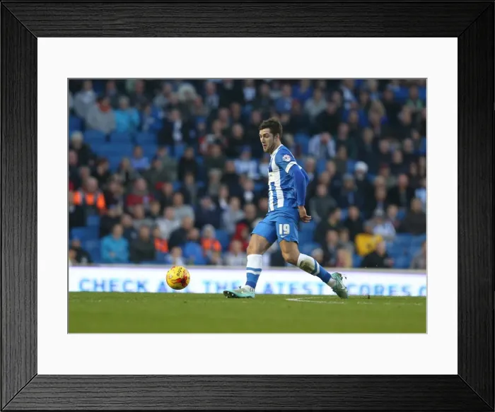 Framed Print : Gary Gardner in Action: Brighton & Hove Albion vs Fulham Championship Clash (29NOV14) Framed Print : Gary Gardner in Action: Brighton & Hove Albion vs Fulham Championship Clash (29NOV14)