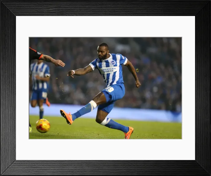 Framed Print : Brighton & Hove Albion: Darren Bent Scores on Debut Against Fulham (29 Nov 2014) Framed Print : Brighton & Hove Albion: Darren Bent Scores on Debut Against Fulham (29 Nov 2014)