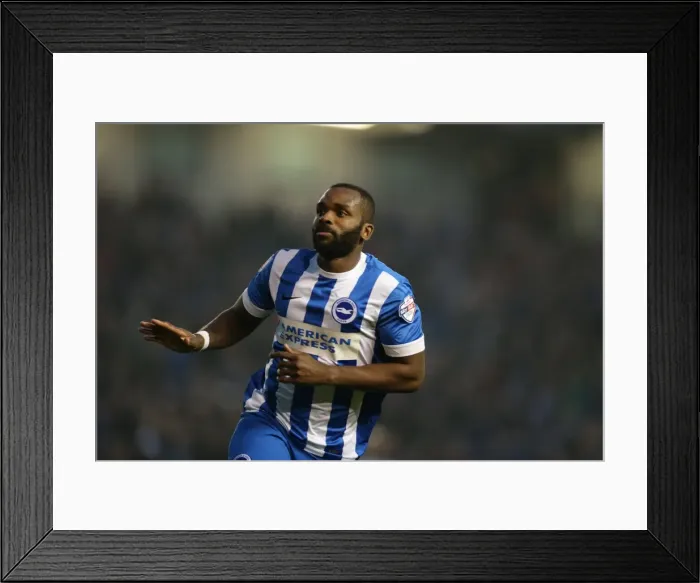Framed Print : Darren Bent Scores on Brighton Debut: Brighton and Hove Albion vs. Fulham, 29 November 2014 Framed Print : Darren Bent Scores on Brighton Debut: Brighton and Hove Albion vs. Fulham, 29 November 2014