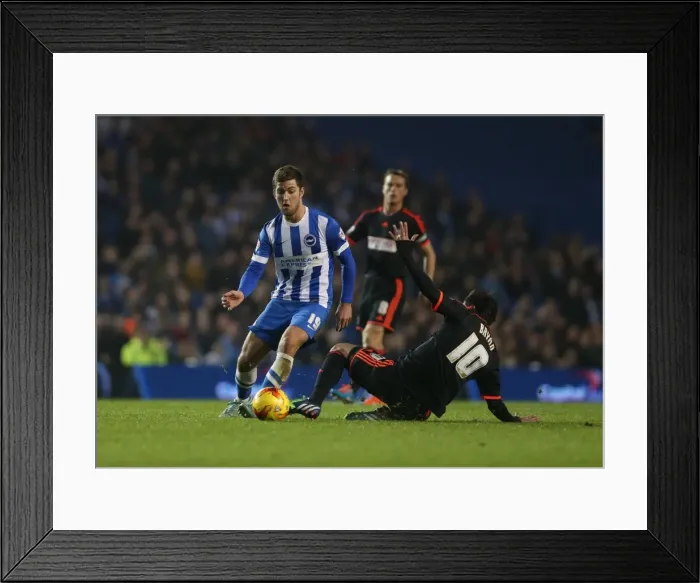 Framed Print : Gary Gardner Faces Off Against Brighton & Hove Albion in Championship Showdown (29NOV14) Framed Print : Gary Gardner Faces Off Against Brighton & Hove Albion in Championship Showdown (29NOV14)