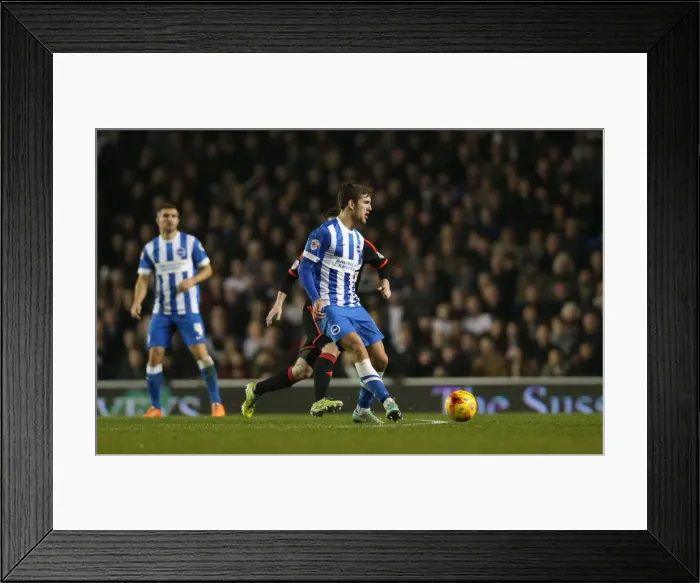 Framed Print : Gary Gardner in Action: Brighton & Hove Albion vs. Fulham - Sky Bet Championship Match (29 November 2014) Framed Print : Gary Gardner in Action: Brighton & Hove Albion vs. Fulham - Sky Bet Championship Match (29 November 2014)
