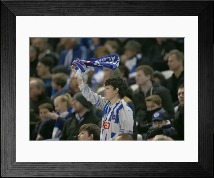 Framed Print : Brighton & Hove Albion FC: Passionate Fan Amidst the Action against Fulham (29NOV14) Framed Print : Brighton & Hove Albion FC: Passionate Fan Amidst the Action against Fulham (29NOV14)