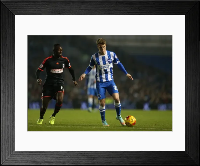 Framed Print : Solomon March in Action: Brighton & Hove Albion vs Fulham, American Express Community Stadium (November 2014) Framed Print : Solomon March in Action: Brighton & Hove Albion vs Fulham, American Express Community Stadium (November 2014)
