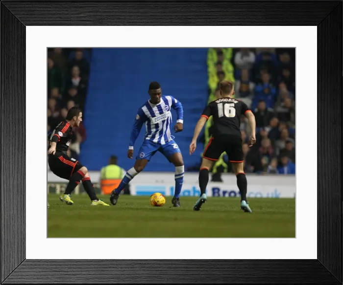 Framed Print : Rohan Ince in Action: Brighton & Hove Albion vs. Fulham (29NOV14) Framed Print : Rohan Ince in Action: Brighton & Hove Albion vs. Fulham (29NOV14)