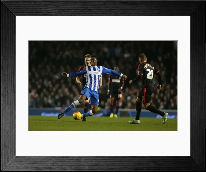 Framed Print : Rohan Ince in Action: Brighton & Hove Albion vs Fulham (29NOV14) Framed Print : Rohan Ince in Action: Brighton & Hove Albion vs Fulham (29NOV14)