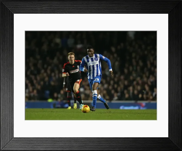 Framed Print : Rohan Ince in Action: Brighton & Hove Albion vs Fulham (29NOV14) Framed Print : Rohan Ince in Action: Brighton & Hove Albion vs Fulham (29NOV14)