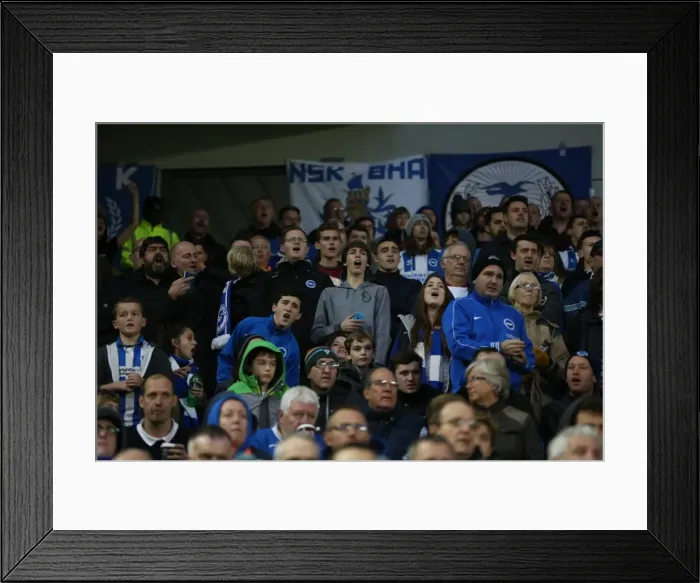 Framed Print : Brighton and Hove Albion vs Fulham: Passionate Fans Clash at American Express Community Stadium (29NOV14) Framed Print : Brighton and Hove Albion vs Fulham: Passionate Fans Clash at American Express Community Stadium (29NOV14)