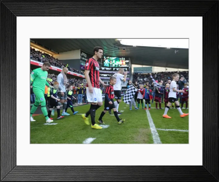 Framed Print : Brighton and Hove Albion Mascot at Derby County's iPro Stadium during Sky Bet Championship Match, December 2014