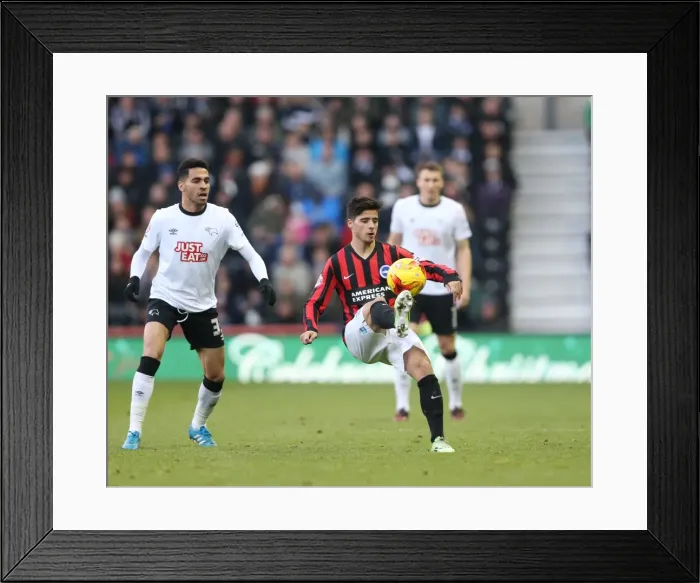Framed Print : Joao Teixeira in Action: Derby County vs. Brighton & Hove Albion, Sky Bet Championship (6th December 2014) Framed Print : Joao Teixeira in Action: Derby County vs. Brighton & Hove Albion, Sky Bet Championship (6th December 2014)