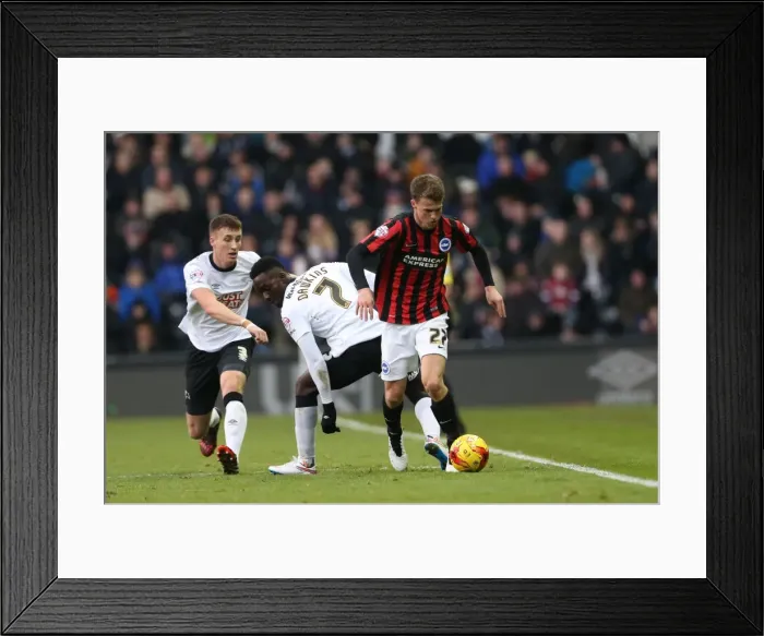 Framed Print : Solly March Leads Brighton and Hove Albion Charge Against Derby County (6th December 2014) Framed Print : Solly March Leads Brighton and Hove Albion Charge Against Derby County (6th December 2014)