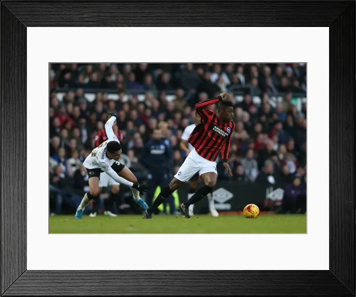 Framed Print : Rohan Ince in Action: Derby County vs. Brighton and Hove Albion, Sky Bet Championship, iPro Stadium, December 6, 2014 Framed Print : Rohan Ince in Action: Derby County vs. Brighton and Hove Albion, Sky Bet Championship, iPro Stadium, December 6, 2014