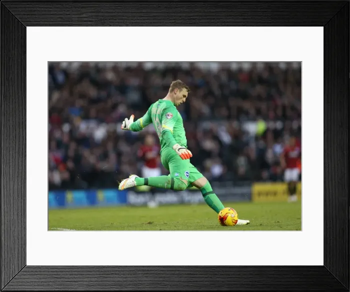 Framed Print : Focused David Stockdale: Brighton and Hove Albion vs Derby County Championship Showdown at iPro Stadium (December 2014) Framed Print : Focused David Stockdale: Brighton and Hove Albion vs Derby County Championship Showdown at iPro Stadium (December 2014)