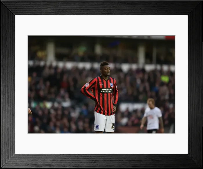 Framed Print : Rohan Ince: Derby vs. Brighton & Hove Albion, Sky Bet Championship, iPro Stadium, December 6, 2014 Framed Print : Rohan Ince: Derby vs. Brighton & Hove Albion, Sky Bet Championship, iPro Stadium, December 6, 2014