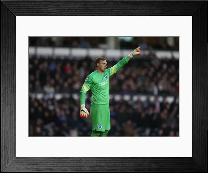 Framed Print : Focused David Stockdale: Derby County vs. Brighton and Hove Albion, Sky Bet Championship, iPro Stadium, December 2014 Framed Print : Focused David Stockdale: Derby County vs. Brighton and Hove Albion, Sky Bet Championship, iPro Stadium, December 2014