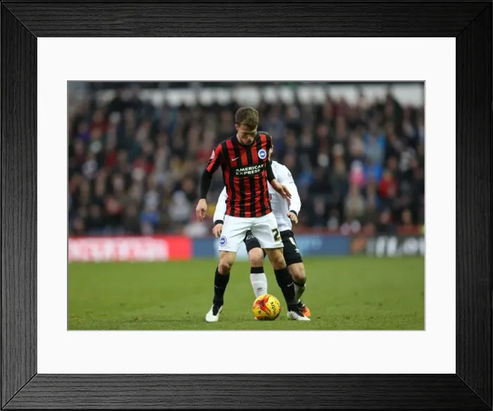Framed Print : Solomon March in Action: Derby County vs. Brighton & Hove Albion, Sky Bet Championship, iPro Stadium, December 6, 2014 Framed Print : Solomon March in Action: Derby County vs. Brighton & Hove Albion, Sky Bet Championship, iPro Stadium, December 6, 2014