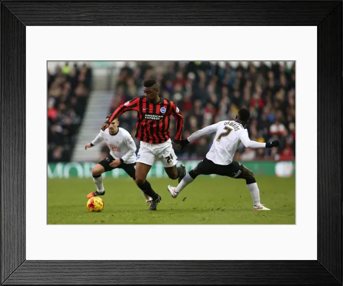 Framed Print : Rohan Ince in Action: Derby County vs. Brighton & Hove Albion (6th December 2014) Framed Print : Rohan Ince in Action: Derby County vs. Brighton & Hove Albion (6th December 2014)