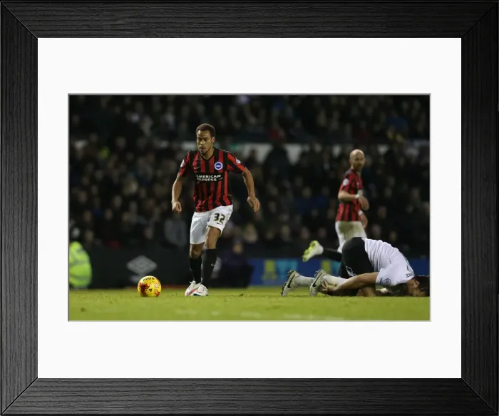 Framed Print : Elliott Bennett: In Action at iPro Stadium - Derby County vs. Brighton & Hove Albion (December 6, 2014) Framed Print : Elliott Bennett: In Action at iPro Stadium - Derby County vs. Brighton & Hove Albion (December 6, 2014)