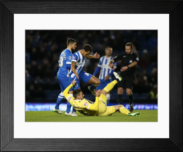 Framed Print : Jake Forster-Caskey in Action: Brighton & Hove Albion vs. Millwall (12DEC14) Framed Print : Jake Forster-Caskey in Action: Brighton & Hove Albion vs. Millwall (12DEC14)