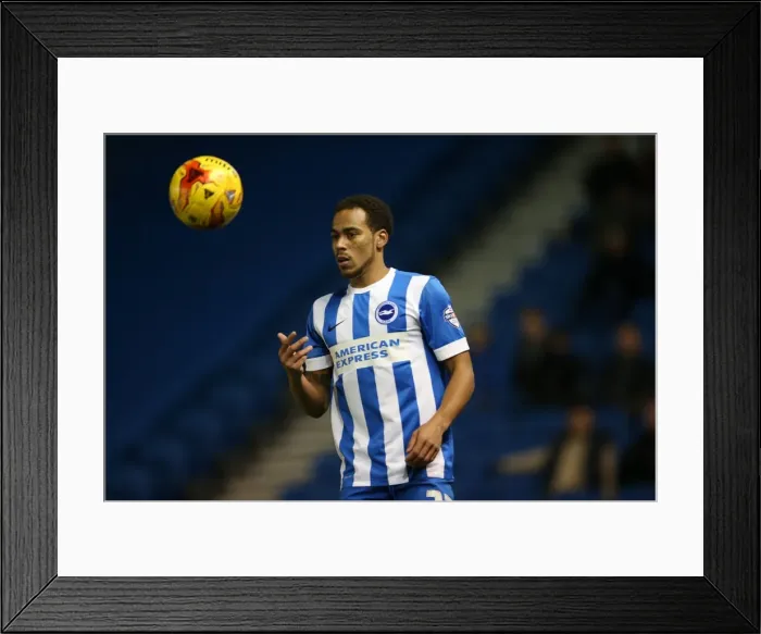 Framed Print : Intense Rivalry: Elliott Bennett's Showdown between Brighton & Hove Albion and Millwall (12DEC14) Framed Print : Intense Rivalry: Elliott Bennett's Showdown between Brighton & Hove Albion and Millwall (12DEC14)