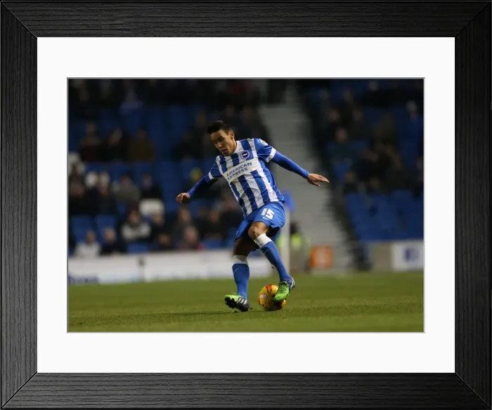 Framed Print : Intense Face-off: Chicksen vs Millwall Player, Brighton & Hove Albion vs Millwall (12DEC14) Framed Print : Intense Face-off: Chicksen vs Millwall Player, Brighton & Hove Albion vs Millwall (12DEC14)