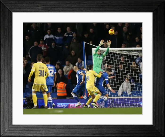 Framed Print : David Stockdale in Action: Brighton & Hove Albion vs Millwall (12DEC14) Framed Print : David Stockdale in Action: Brighton & Hove Albion vs Millwall (12DEC14)