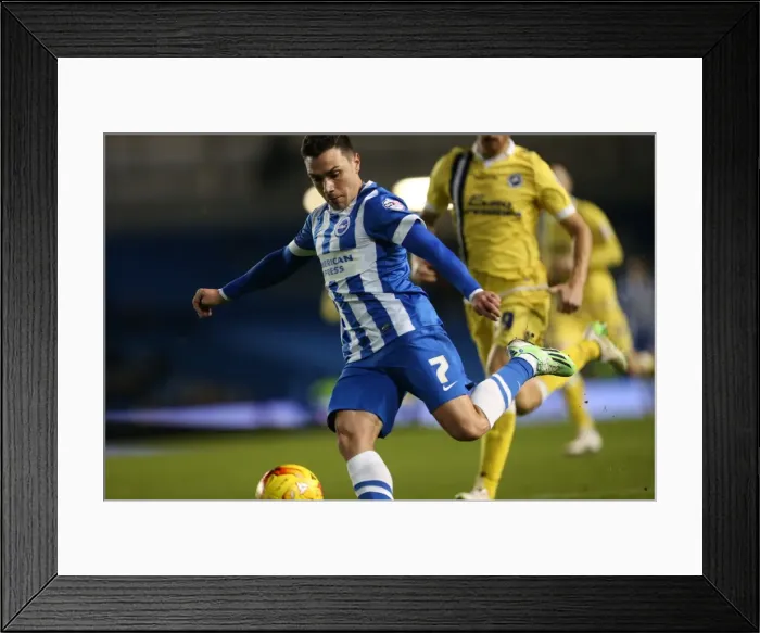 Framed Print : Adrian Kolouga in Action: Brighton & Hove Albion vs Millwall (12DEC14) Framed Print : Adrian Kolouga in Action: Brighton & Hove Albion vs Millwall (12DEC14)