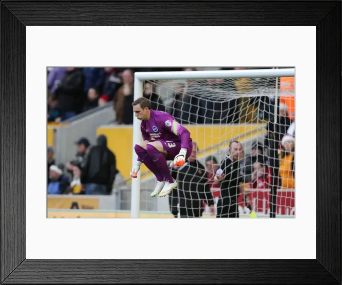 Framed Print : David Stockdale Focuses in Net for Brighton and Hove Albion against Wolverhampton Wanderers (20DEC14) Framed Print : David Stockdale Focuses in Net for Brighton and Hove Albion against Wolverhampton Wanderers (20DEC14)
