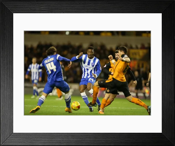 Framed Print : Rohan Ince in Action: Wolverhampton Wanderers vs. Brighton and Hove Albion, Sky Bet Championship, Molineux, 2014 Framed Print : Rohan Ince in Action: Wolverhampton Wanderers vs. Brighton and Hove Albion, Sky Bet Championship, Molineux, 2014