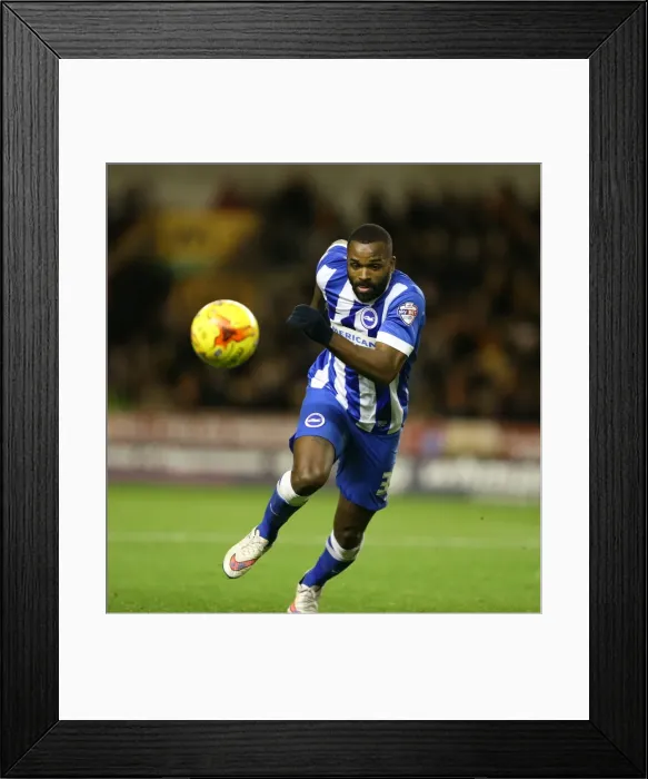 Framed Print : Darren Bent in Action: Championship Showdown between Wolverhampton Wanderers and Brighton & Hove Albion at Molineux (20DEC14) Framed Print : Darren Bent in Action: Championship Showdown between Wolverhampton Wanderers and Brighton & Hove Albion at Molineux (20DEC14)