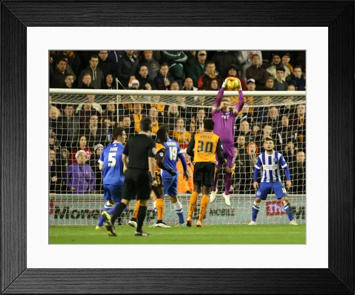 Framed Print : David Stockdale Faces Off Against Wolves: Wolverhampton Wanderers vs Brighton and Hove Albion, Sky Bet Championship, Molineux, 2014 Framed Print : David Stockdale Faces Off Against Wolves: Wolverhampton Wanderers vs Brighton and Hove Albion, Sky Bet Championship, Molineux, 2014