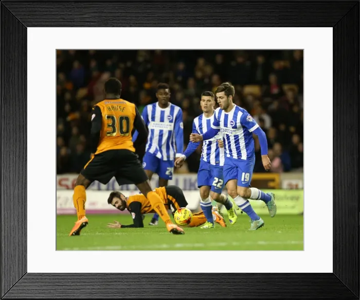 Framed Print : Gary Gardner of Brighton and Hove Albion Faces Off Against Wolverhampton Wanderers in Sky Bet Championship Clash (20DEC14) Framed Print : Gary Gardner of Brighton and Hove Albion Faces Off Against Wolverhampton Wanderers in Sky Bet Championship Clash (20DEC14)